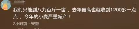 大衣哥稱小麥畝產1500斤,被網友吐槽吹牛,大衣哥解釋來了