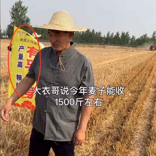 大衣哥稱小麥畝產1500斤,被網友吐槽吹牛,大衣哥解釋來了