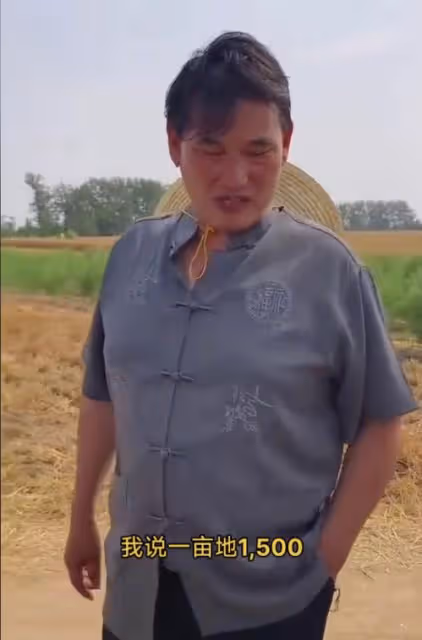 大衣哥稱小麥畝產1500斤,被網友吐槽吹牛,大衣哥解釋來了