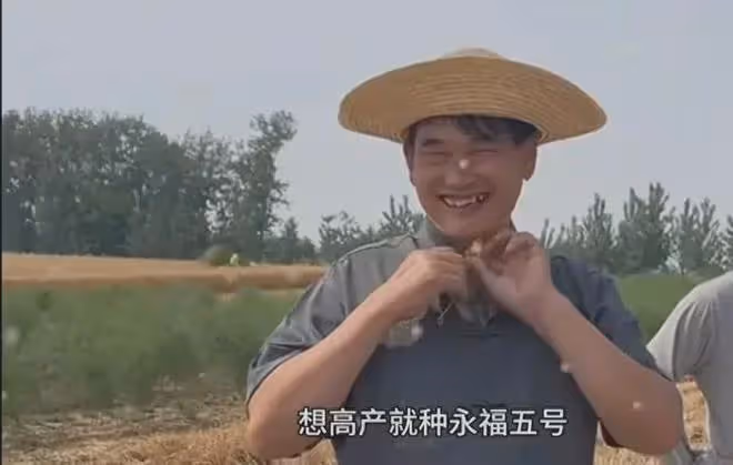 大衣哥結束商演回村收麥子,走在田間地頭氣場十足,眾多媒體跟拍