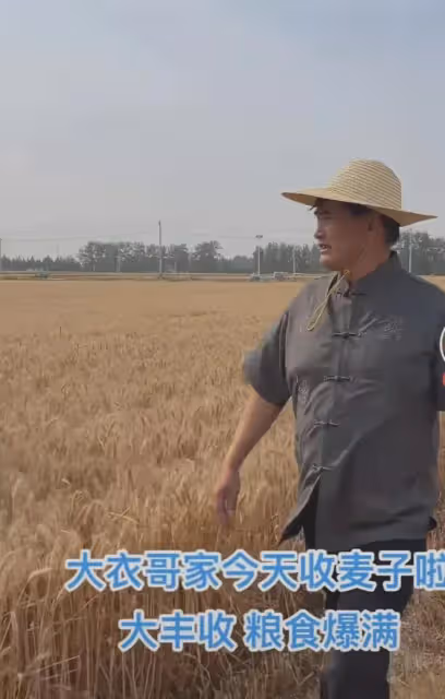 大衣哥結束商演回村收麥子,走在田間地頭氣場十足,眾多媒體跟拍