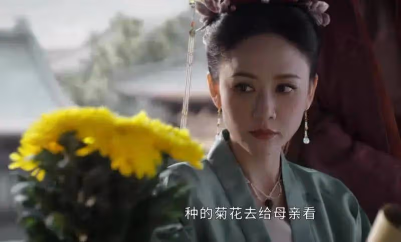 《墨雨雲間》:從薛芳菲被活埋開始,有太多的細思極恐