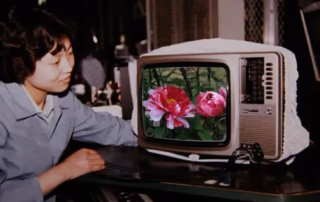 1996年押款車大劫案,主犯比白寶山狠,為何未審判就死在醫院?
