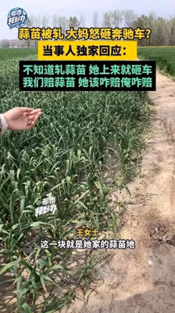 人才!因蒜苗被壓大媽怒砸奔馳車,車主定損3.7w,評論區一邊倒