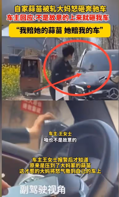 人才!因蒜苗被壓大媽怒砸奔馳車,車主定損3.7w,評論區一邊倒