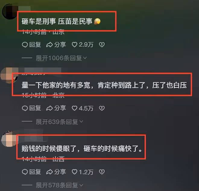 人才!因蒜苗被壓大媽怒砸奔馳車,車主定損3.7w,評論區一邊倒