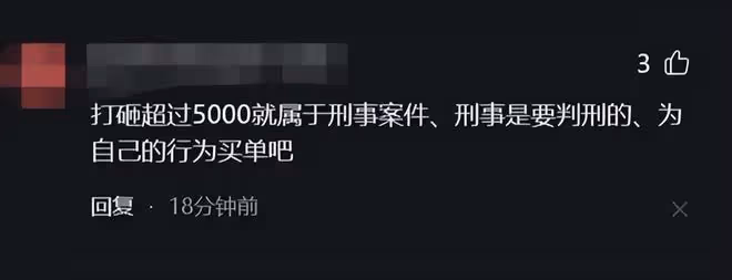 人才!因蒜苗被壓大媽怒砸奔馳車,車主定損3.7w,評論區一邊倒