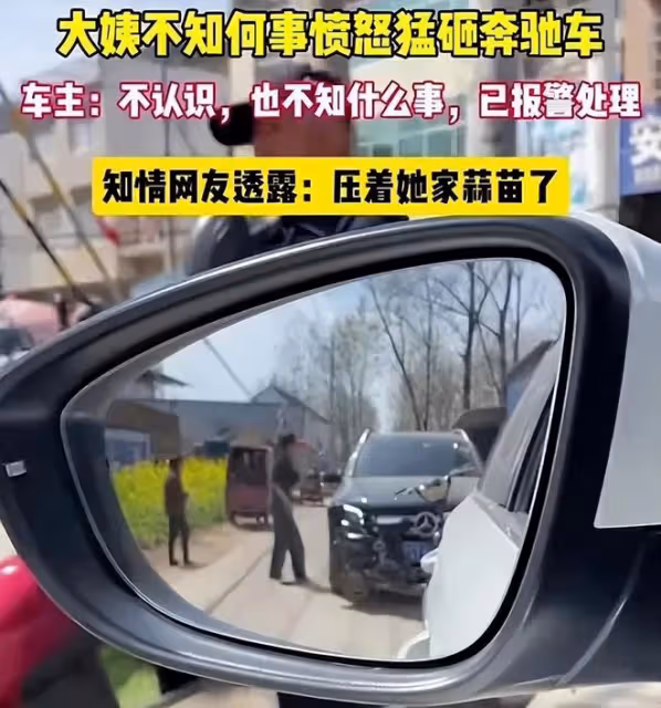 人才!因蒜苗被壓大媽怒砸奔馳車,車主定損3.7w,評論區一邊倒