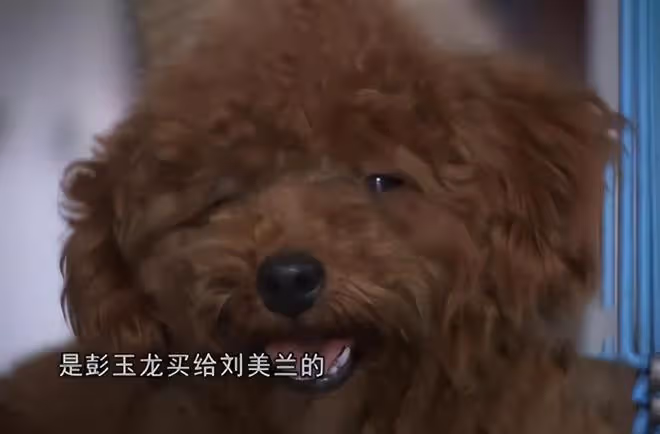 2012年女教練突然失聯,廁所遺留未洗內衣,警方調查發現不簡單