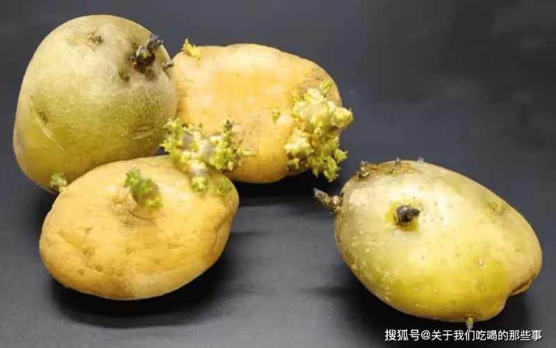 今天才知道,保存土豆這麼簡單,放一年不發芽不腐爛,不學可惜了