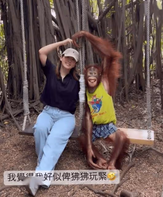 TVB清純女星泰國慶生,被猩猩玩到好尷尬!3月份才生下女兒