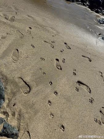 歐陽娜娜一畢業解放變「歐陽辣辣」 罕曬泳裝照露出雪白長腿!