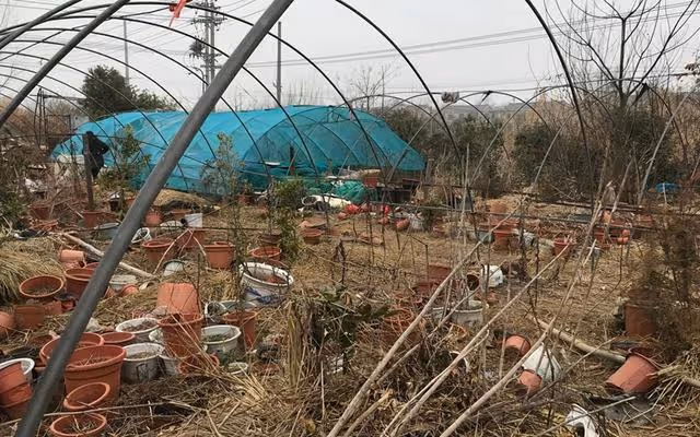 20年,江蘇一村支書女兒被亂刀砍死,警方破案後發現兇手已成屍骨