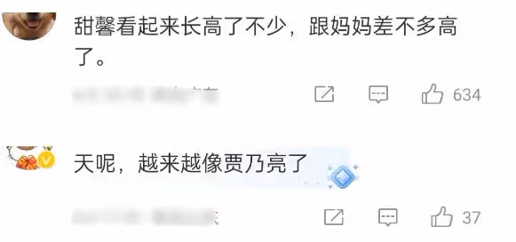 看了11歲甜馨和14歲王詩齡的近照,才明白李小璐和李湘的區別