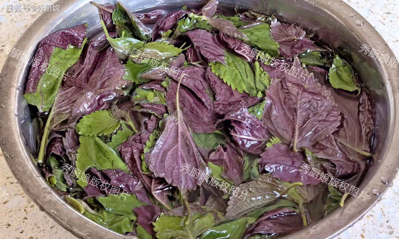 濕氣最怕這2種食材,夏天使勁吃,不僅健脾胃排濕,還能養血補氣