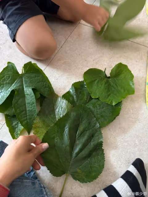 蔡少芬4歲兒子扮海龜,娘娘親手為寶貝做造型,魚蛋滿臉彩繪超萌