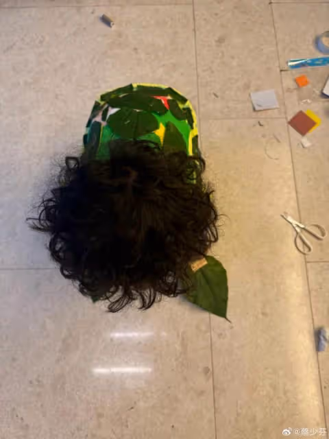 蔡少芬4歲兒子扮海龜,娘娘親手為寶貝做造型,魚蛋滿臉彩繪超萌