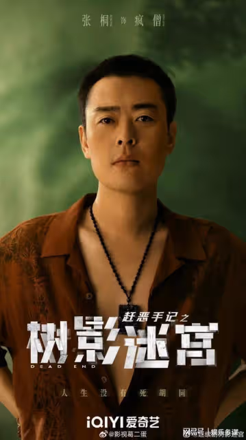 愛奇藝16集大劇來襲,陣容不輸看不見影子的少年,劉琳老師我愛了