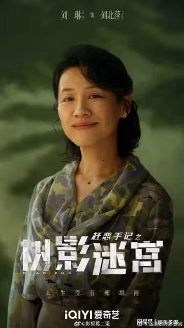 愛奇藝16集大劇來襲,陣容不輸看不見影子的少年,劉琳老師我愛了