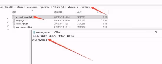 《夜族崛起(V Rising)》聯機教程