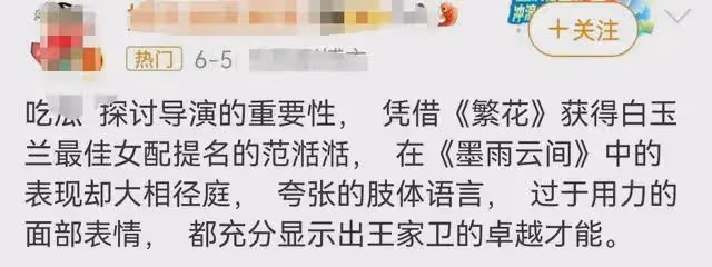 王家衛有多牛?她憑《繁花》提名白玉蘭,在《墨雨雲間》卻成最差