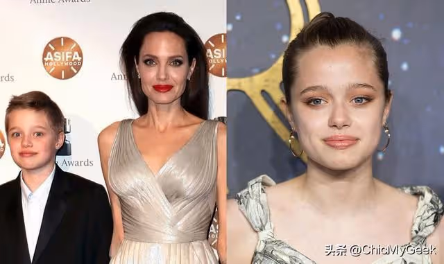 朱莉離婚皮特,子女集體除父姓,一人帶6孩!