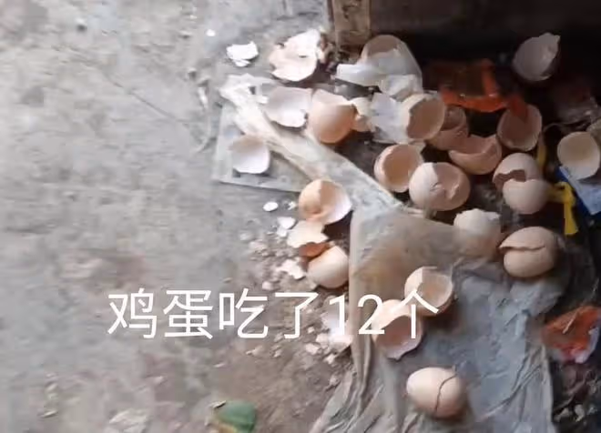 妻子四胎產女,丈夫煮12個雞蛋給補身體,炫耀自己很大方