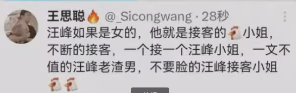 王思聰怒斥汪峰「小姐」，反遭網友群嘲：數量勝了，但質量不夠