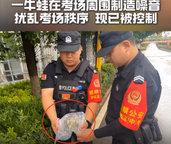 眾明星為考生送祝福,四位女星穿旗袍鬥豔,三位明星祝福出現錯字