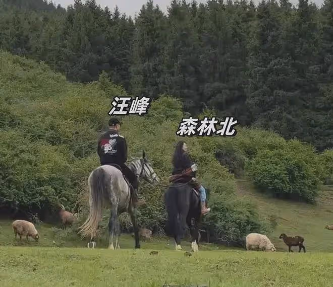 恭喜!汪峰前腳和森林北新疆騎馬,後腳在成都專場官宣喜訊!