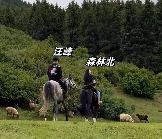 汪峰攜森林北新疆策馬奔騰,馬場教練發聲評價,網友:理解汪峰了