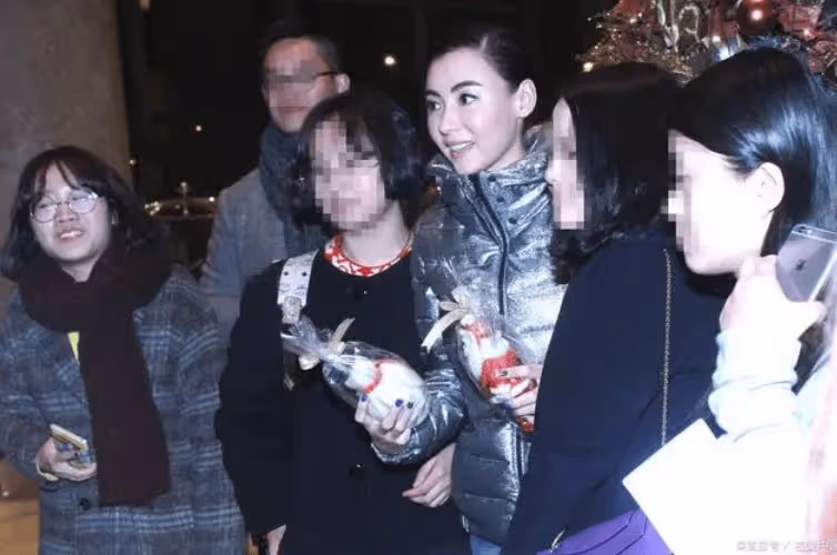 張柏芝親子鑑定揭露謝賢尷尬,謝霆鋒生活陷入混亂