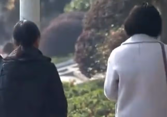 回顧:養母向女兒下跪,只為索要天價彩禮,曾想將其嫁給殘疾兒子