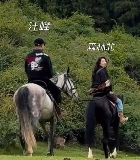 章子怡給足汪峰體面:讓兒女赴成都支持演唱會,父女擁抱超有愛!