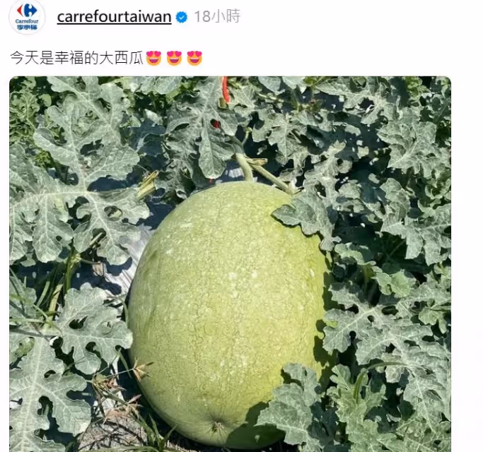 邊佑錫自拍合照大西瓜　家樂福發文粉絲狂喊：要應徵當西瓜