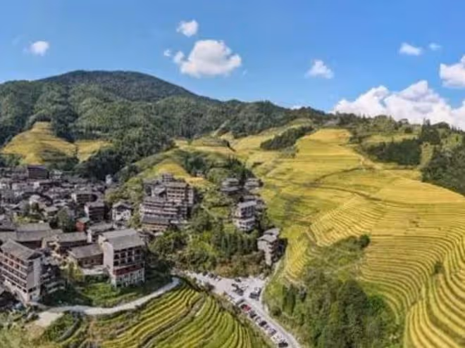 2013年,兒子花60萬雇兇殺父,親姐姐都沒放過,面對警察從容淡定
