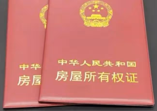 回顧老太有5個兒子照顧,被活生生餓死,被判刑的兒子卻大感冤枉