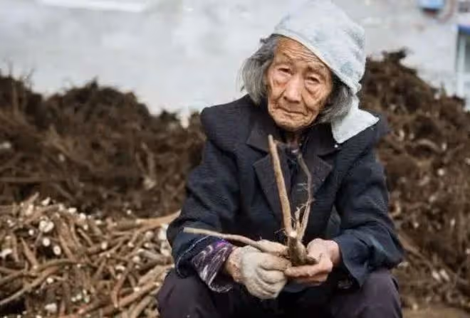 回顧老太有5個兒子照顧,被活生生餓死,被判刑的兒子卻大感冤枉