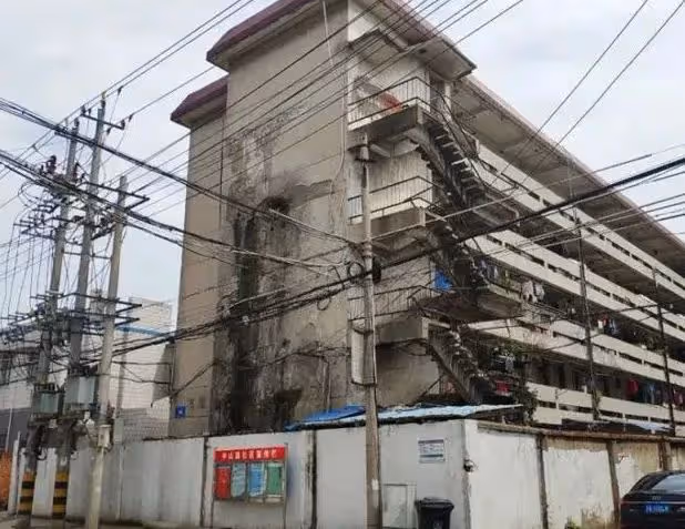 2013年女子為了「玩」,將2個孩子活活餓死,法院:故意殺人罪