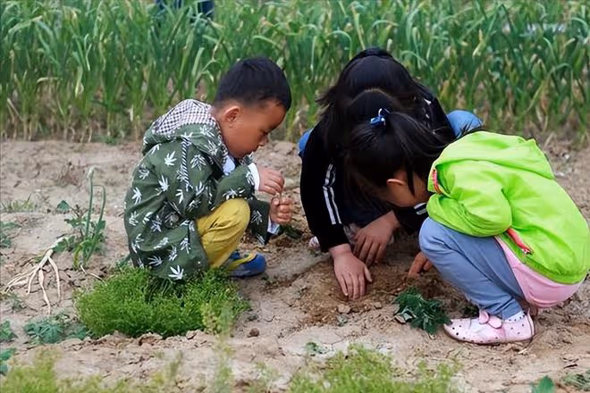 回顧小伙失去雙臂,用「腳」奪得多枚金牌,退役後卻遭遇妻子拋棄