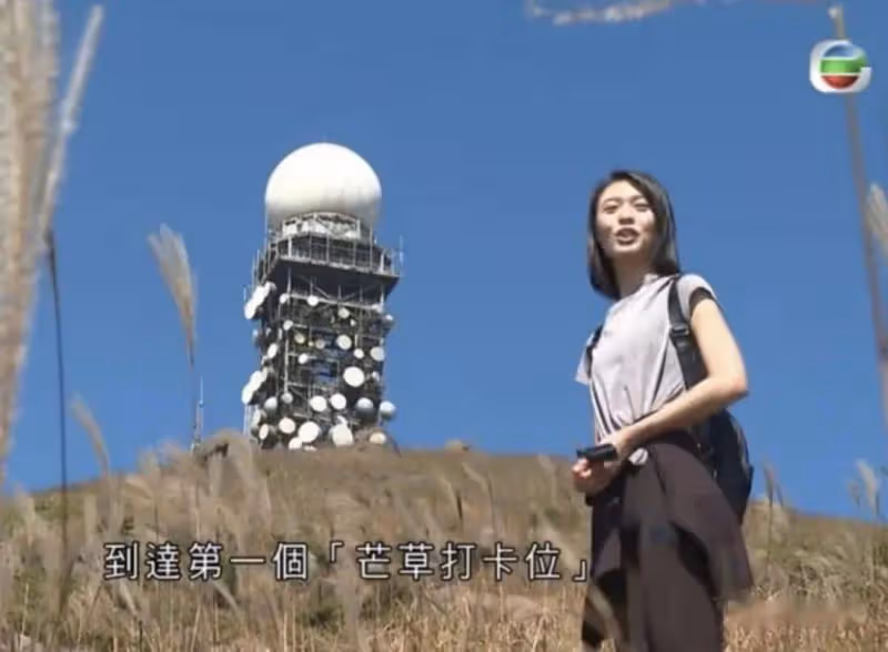 TVB「九頭身女主播」片段惹熱議,似足關之琳,曾是樂基兒的師妹