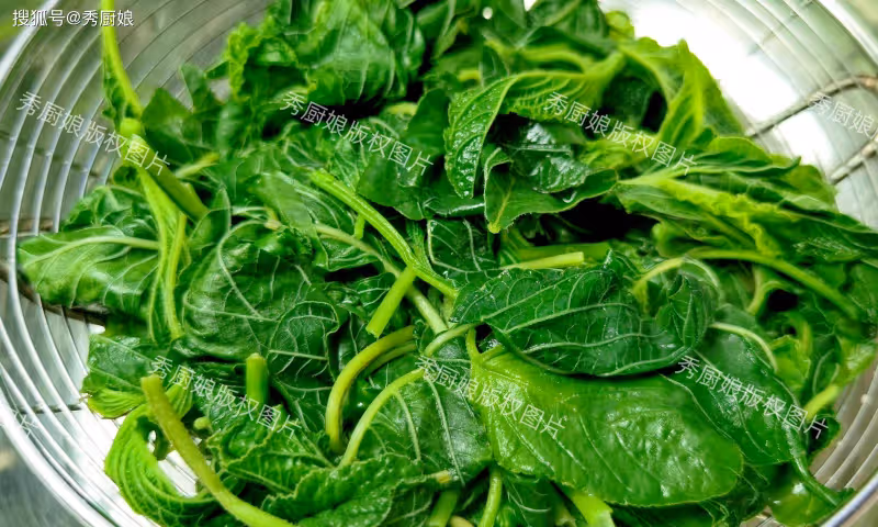夏至前,抓緊吃「6月第一鮮」!韭菜芹菜靠邊站!用它包餃子真香