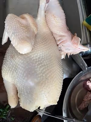白切扇雞