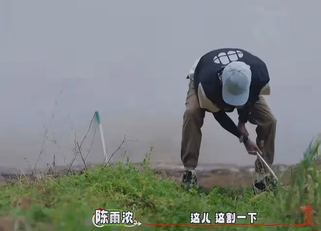 丁真上綜藝被欺負！明星抱團哄他多幹活，徹底揭開娛樂圈遮羞布！