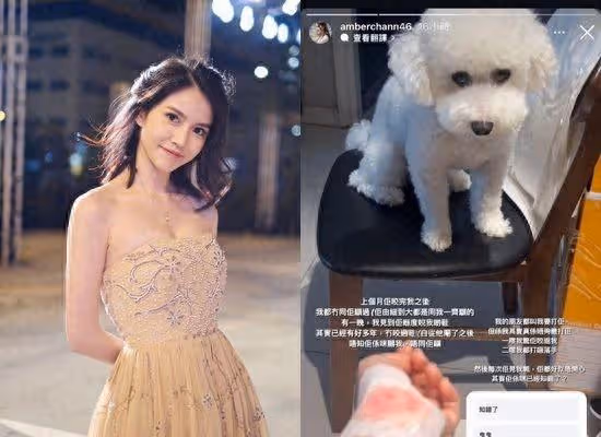 女星手遭愛犬咬出洞「地上大片血跡」驚悚照曝! 心碎:我是不好的主人