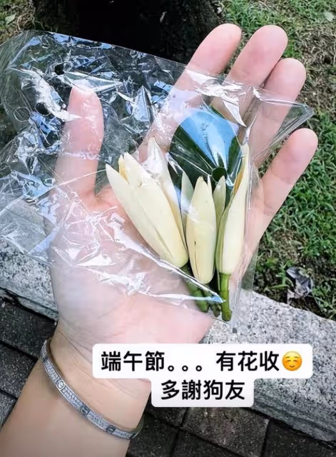 黃心穎端午節收野花被群嘲太寒酸,結婚半年遭遇各種婚後壓力