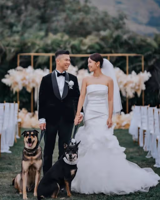 黃心穎端午節收野花被群嘲太寒酸,結婚半年遭遇各種婚後壓力