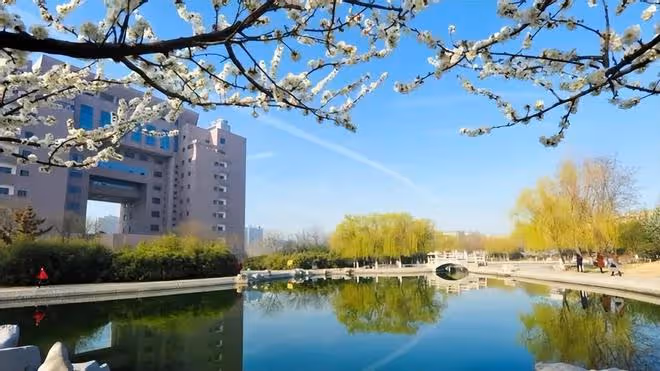 回顧:農家女被人頂替上大學,16年後被質疑:請證明你是陳春秀