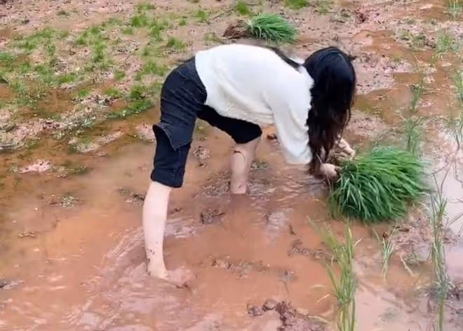 男子第一次帶女友回家,為了考驗女友是否賢惠,父母安排她干農活