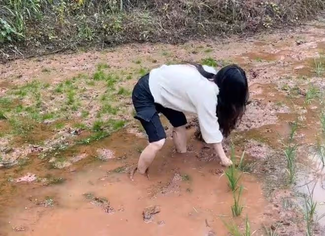 男子第一次帶女友回家,為了考驗女友是否賢惠,父母安排她干農活